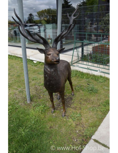 Staand hert - bronzen beeld (B713)