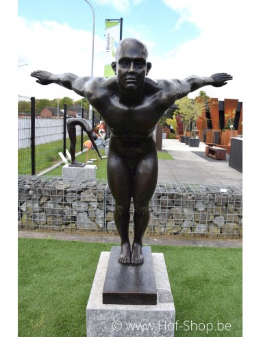 David nageur - statue en bronze (B1367)