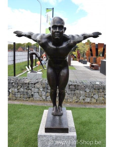 David nageur - statue en bronze (B1367)