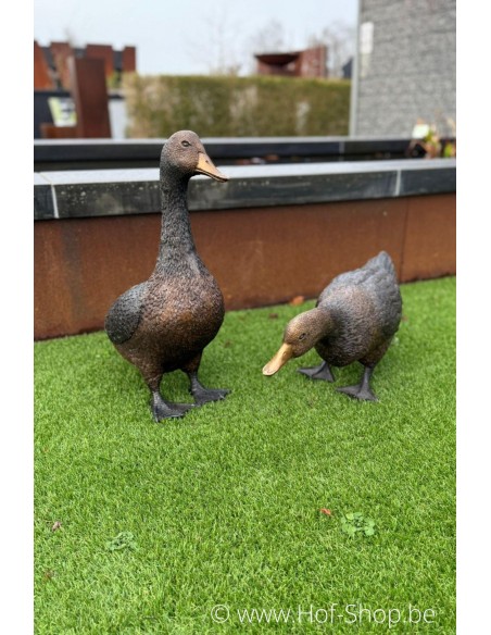 Canard debout  - statue en bronze (BS1267B)