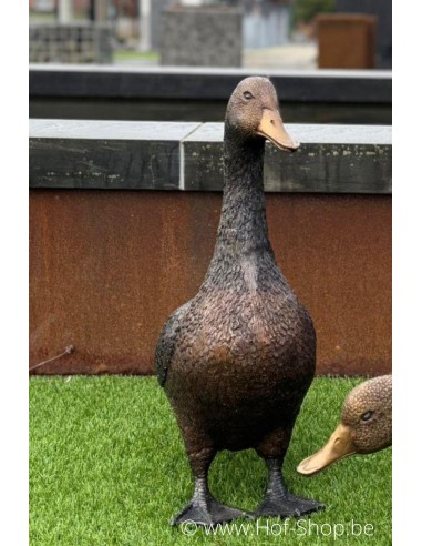 Canard debout  - statue en bronze (GA1267BR-B)