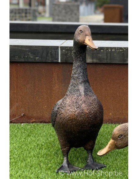 Canard debout  - statue en bronze (BS1267B)