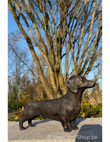 Teckel - statue en bronze (BS1387B)