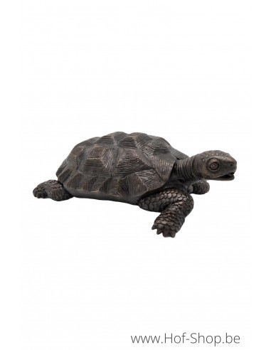 Schildpad - bronzen beeld (BS1158B)
