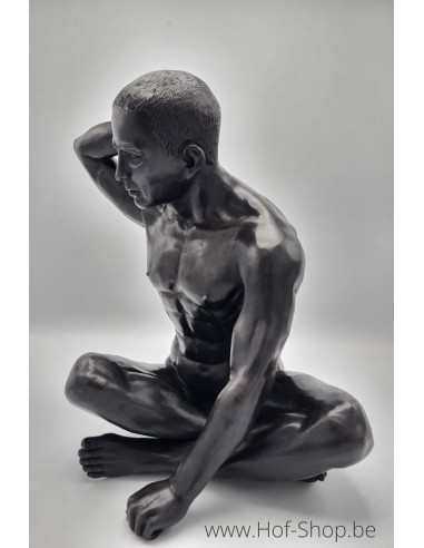 Homme assis nue - statue en bronze (BS1480B)