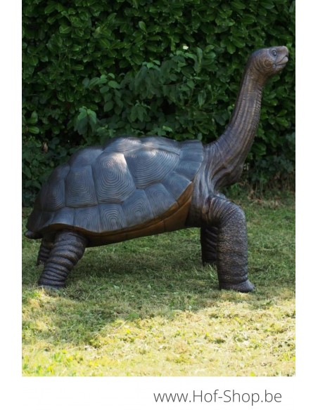 Reuze schildpad - bronzen beeld (B1485)
