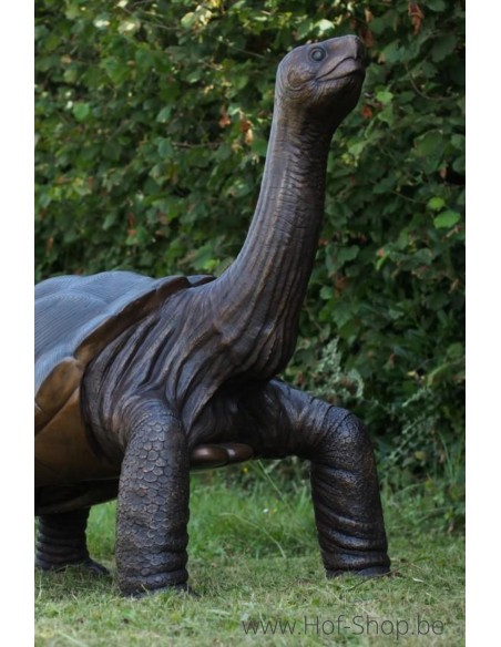Tortue Géante - statue en bronze (B1485)