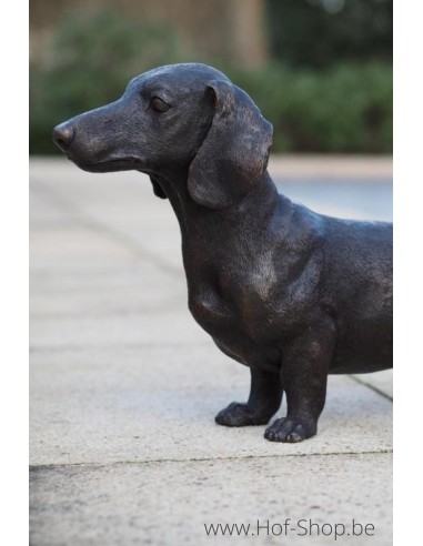 Teckel - statue en bronze (B1470)