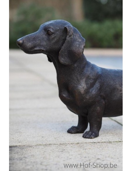 Teckel - statue en bronze (B1470)
