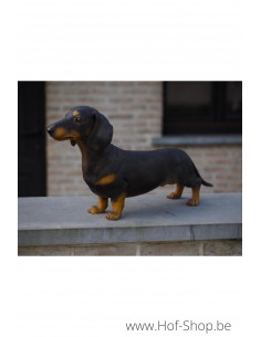 Teckel gekleurd - bronzen beeld (B1470-C)
