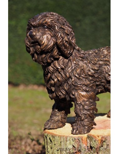 Labradoodle Puppy - statue en bronze (B58454)