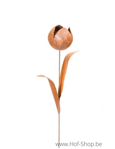 Rose Pivoine - figurine en métal Ecorouille (MD70026)
