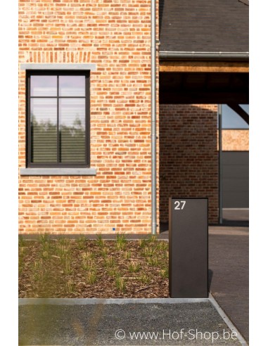 Dropbox Small RAL 9005 Back Door - eSafe pakketbus aluminium
