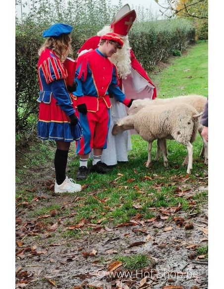 Hoeve op den Mierhoop X Hof-Shop - Sinterklaasbrievenbus Hof-Shop 2024