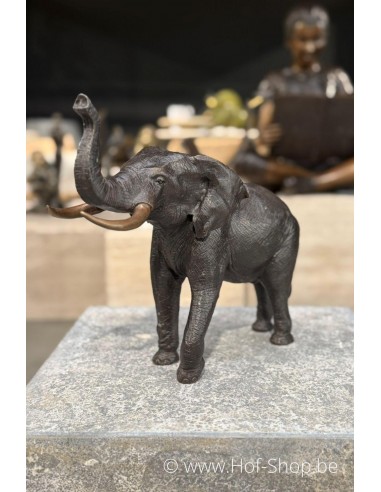 Éléphant 36 cm - statue en bronze (BS1310B)