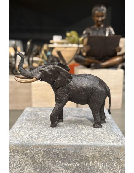 Olifant 36 cm - bronzen beeld (AN1310BR-B)