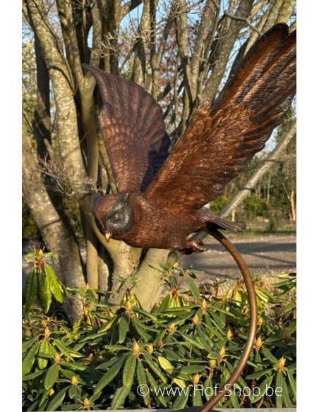 Hibou volant - statue en bronze (BS2209B)