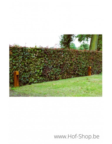 C1S - 500 Éclairage au sol en acier Corten - Éclairage de jardin GARDD