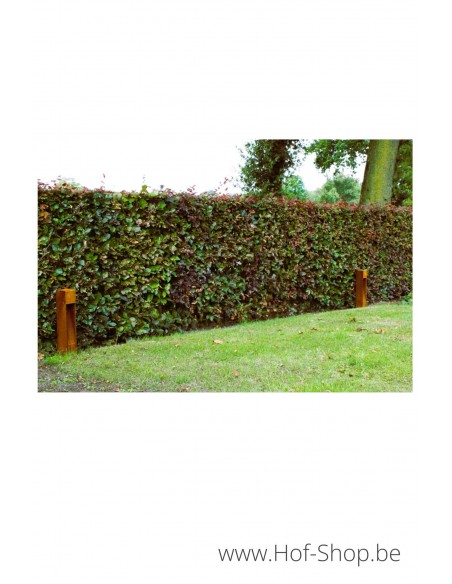 C1S - 500 Éclairage au sol en acier Corten - Éclairage de jardin GARDD