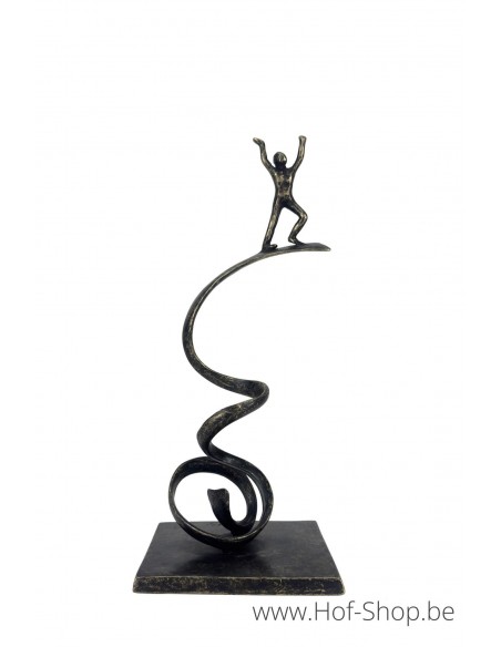 Reach for the Sky - bronzen beeld (AN3068BR-BI)