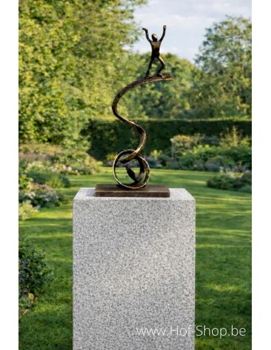 Reach for the Sky - statue en bronze (AN3068BR-BI)