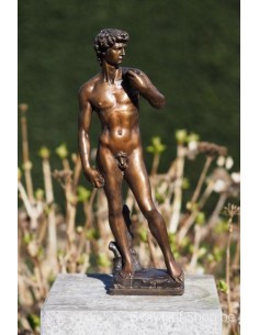 David de Michel-Ange 30 cm - statue en bronze (BS1529B-S)