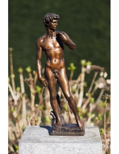 David de Michel-Ange 30 cm - statue en bronze (BS1529B-S)