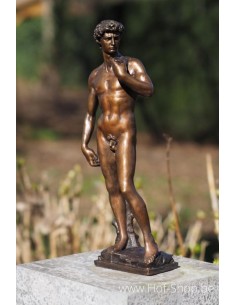 David van Michelangelo 40cm - bronzen beeld (BS1529B)