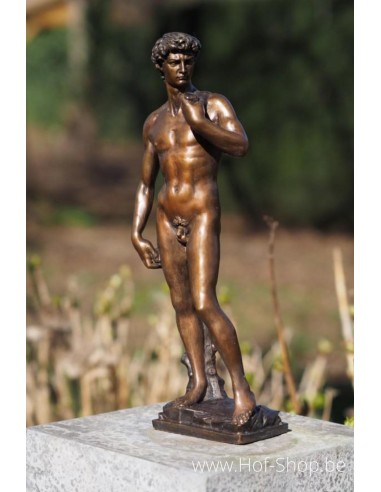 David van Michelangelo 40cm - bronzen beeld (BS1529B)