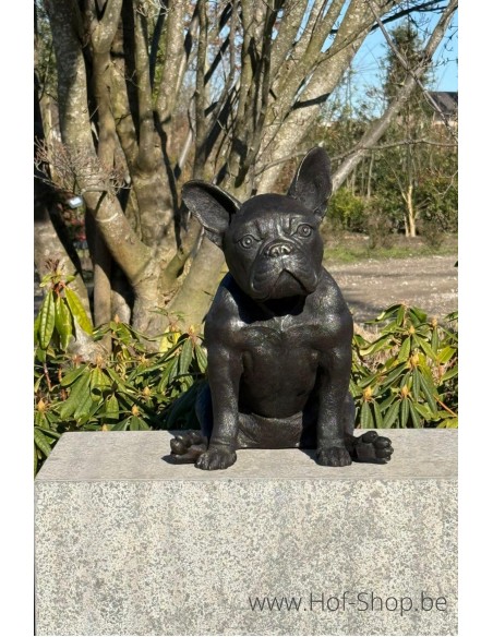 Franse bulldog - bronzen beeld (BS1412B)