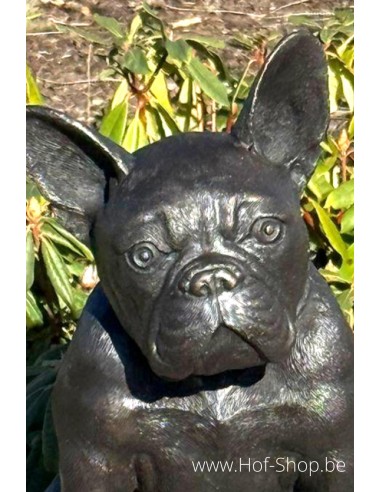 Franse bulldog - bronzen beeld (BS1412B)