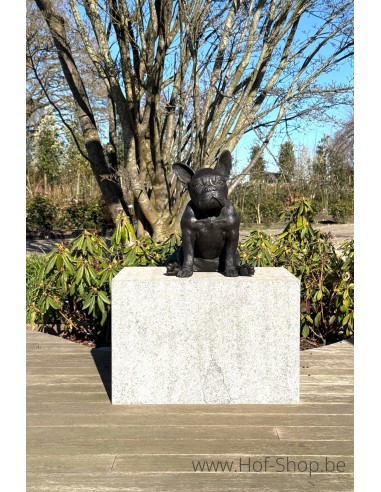 Franse bulldog - bronzen beeld (BS1412B)