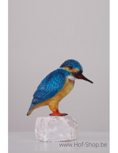 Martin-pêcheur paint - statue en bronze (BS1539C)