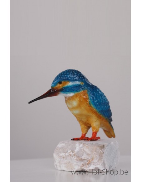 Martin-pêcheur paint - statue en bronze (BS1539C)