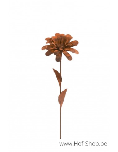Dahlia - metalen figuur in ecoroest (MD70046)