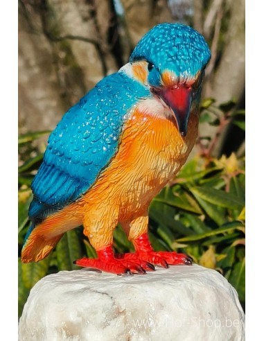 Martin-pêcheur paint - statue en bronze (BS1539C)