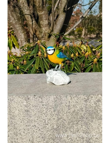 Mésange bleue - statue en bronze (BS1542C)