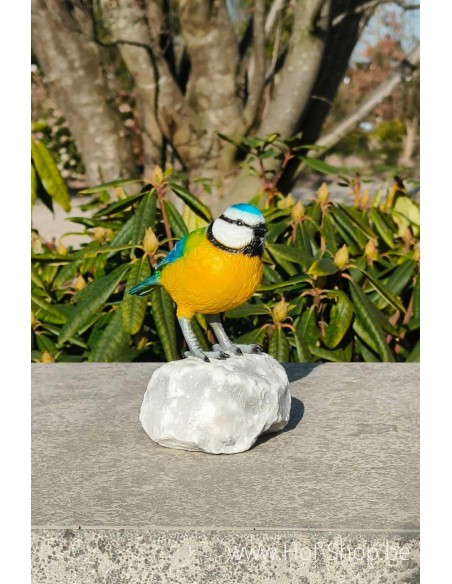 Mésange bleue - statue en bronze (BS1542C)