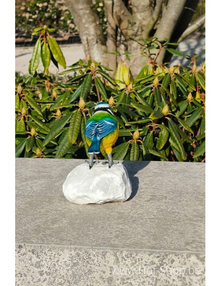 Mésange bleue - statue en bronze (BS1542C)