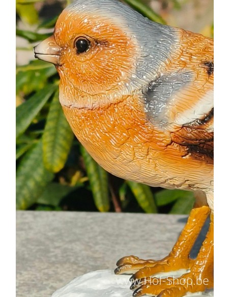 Bouvreuil - statue en bronze (BS1541C)