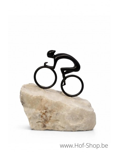 Pedal to the top - bronzen beeld (BS1561B)