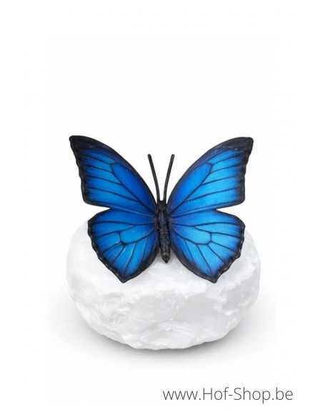 Wings in bronze papillon morpho - statue en bronze (BS1545C)