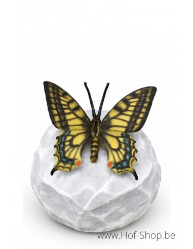 Wings in bronze papillon machaon - statue en bronze (BS1547C)