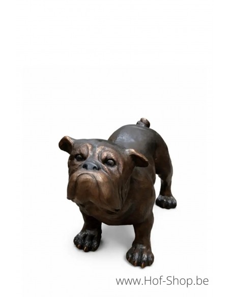Bulldog - bronzen beeld (B81167)