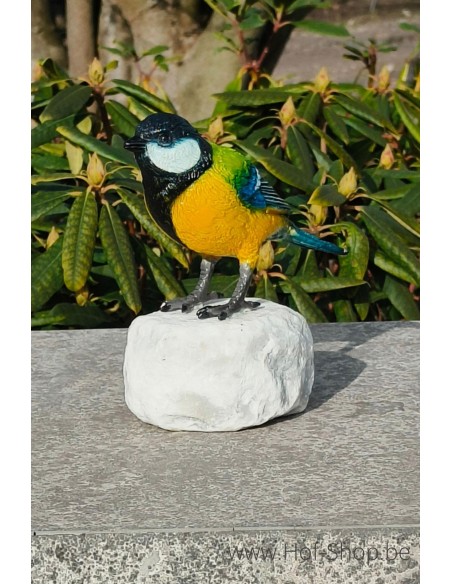 Mésange charbonnière - statue en bronze (BS1542C)