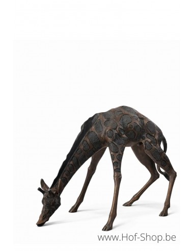 Girafe - statue en bronze (B55018)