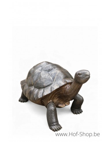Schildpad - bronzen beeld (B1242)