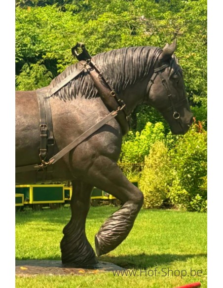 Cheval de trait belge - sculpture en bronze (B1488)