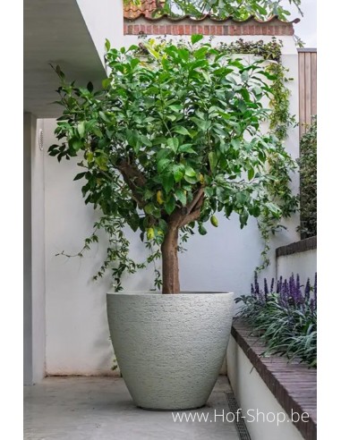 Liv - Adezz Plantenbak in stonecore
