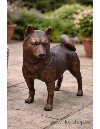 Shiba Inu - bronzen beeld (B22110)